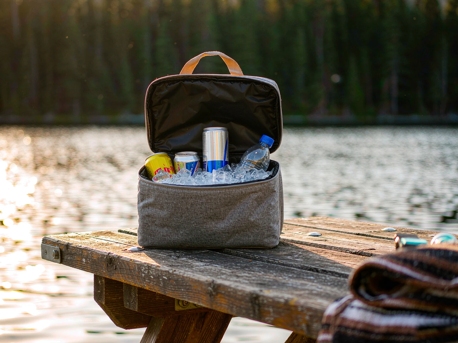 Soft-Sided Cooler Bag (30-Can, Leakproof)